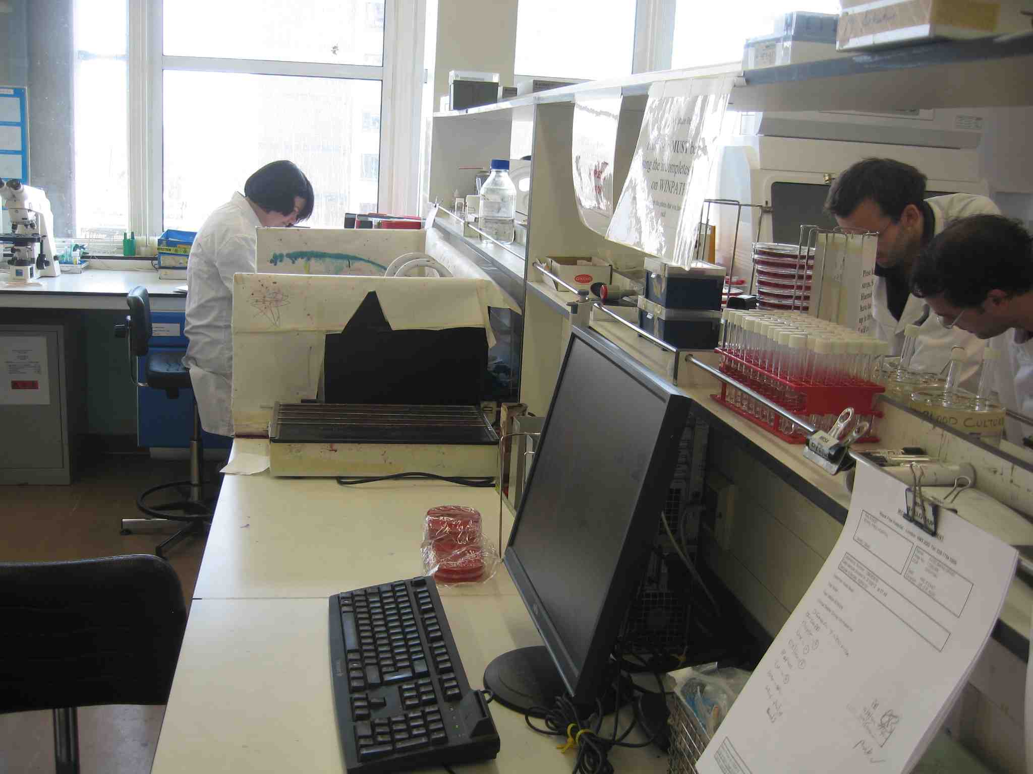 英国伦敦医院微生物实验室201204.jpg