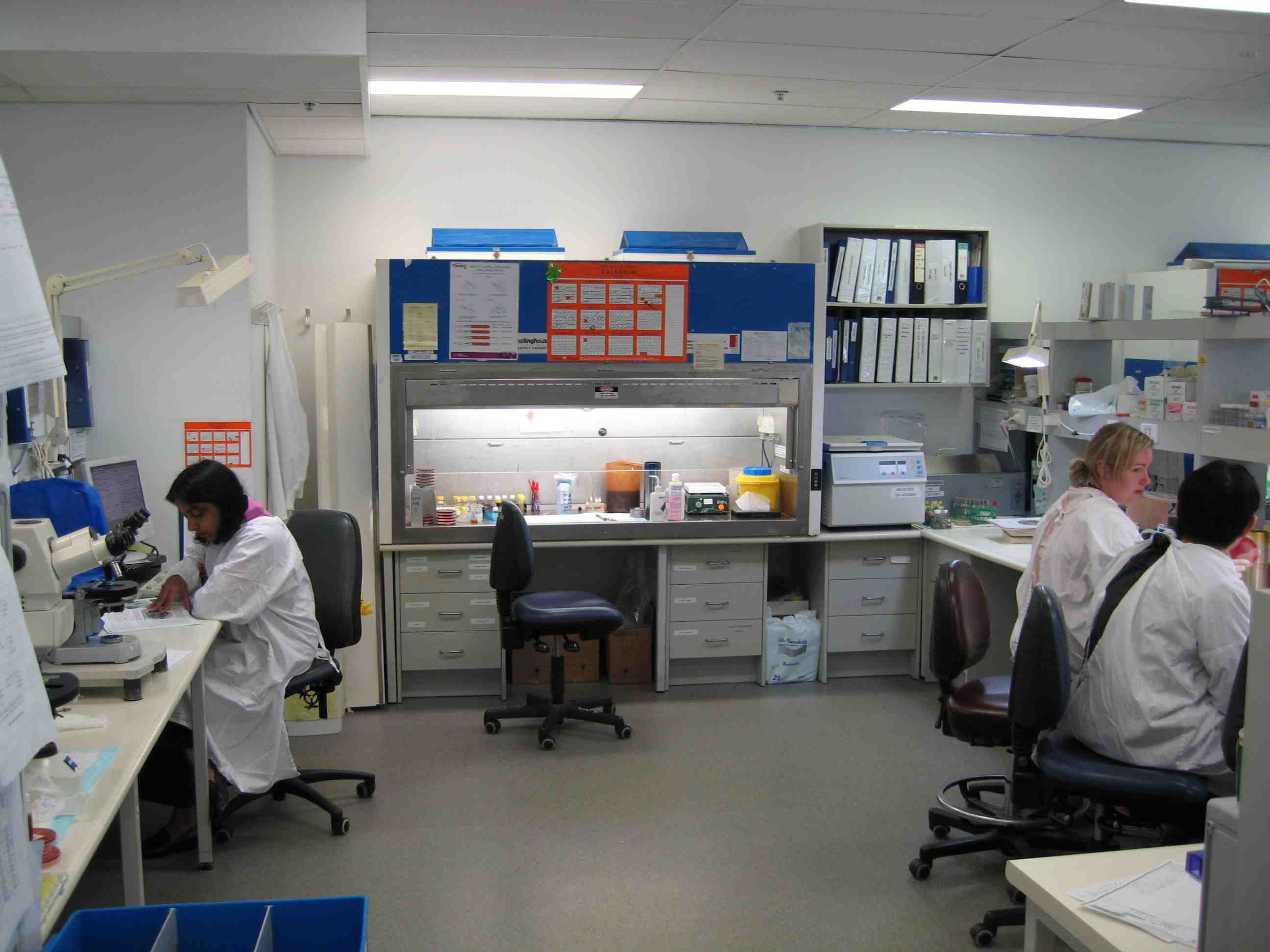 澳大利亚人微生物实验室200607.jpg