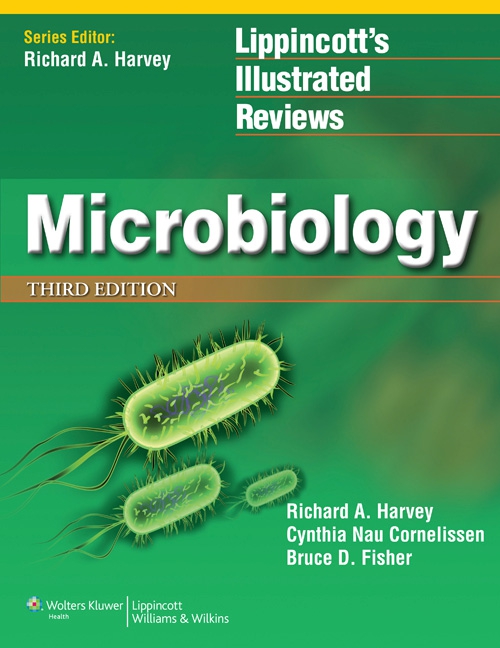 微生物1.jpg