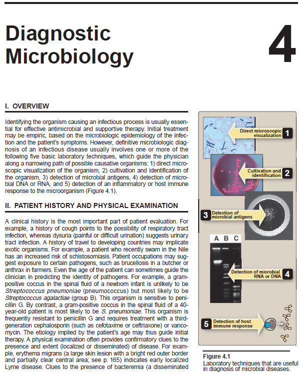 微生物3.png