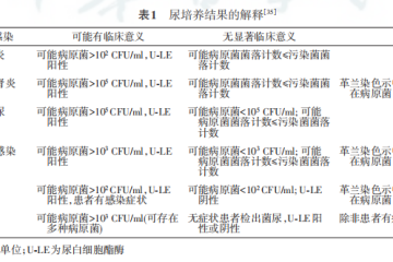 关于尿路感染的诊断，首先是不要被细菌学牵着鼻子走！