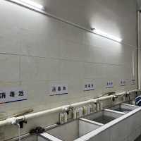 【看图找茬】第十四期——医用织物篇