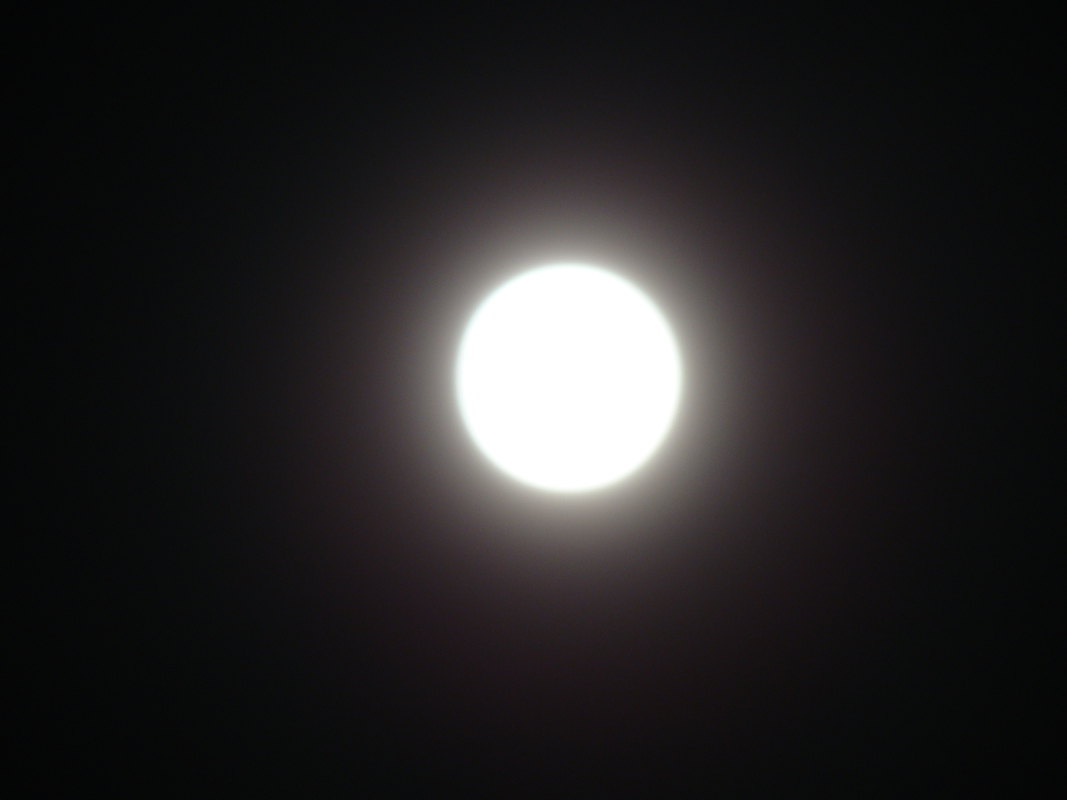 DSC07202.JPG