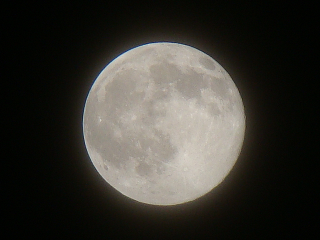 DSC07211.JPG