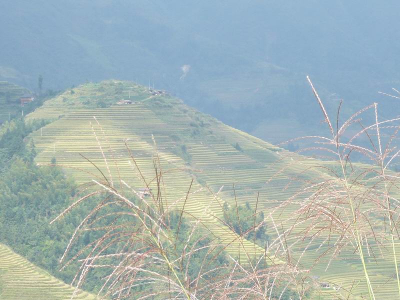 P1010687.JPG