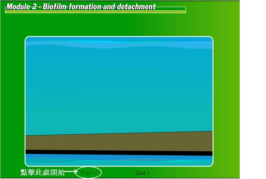 生物附著01.JPG