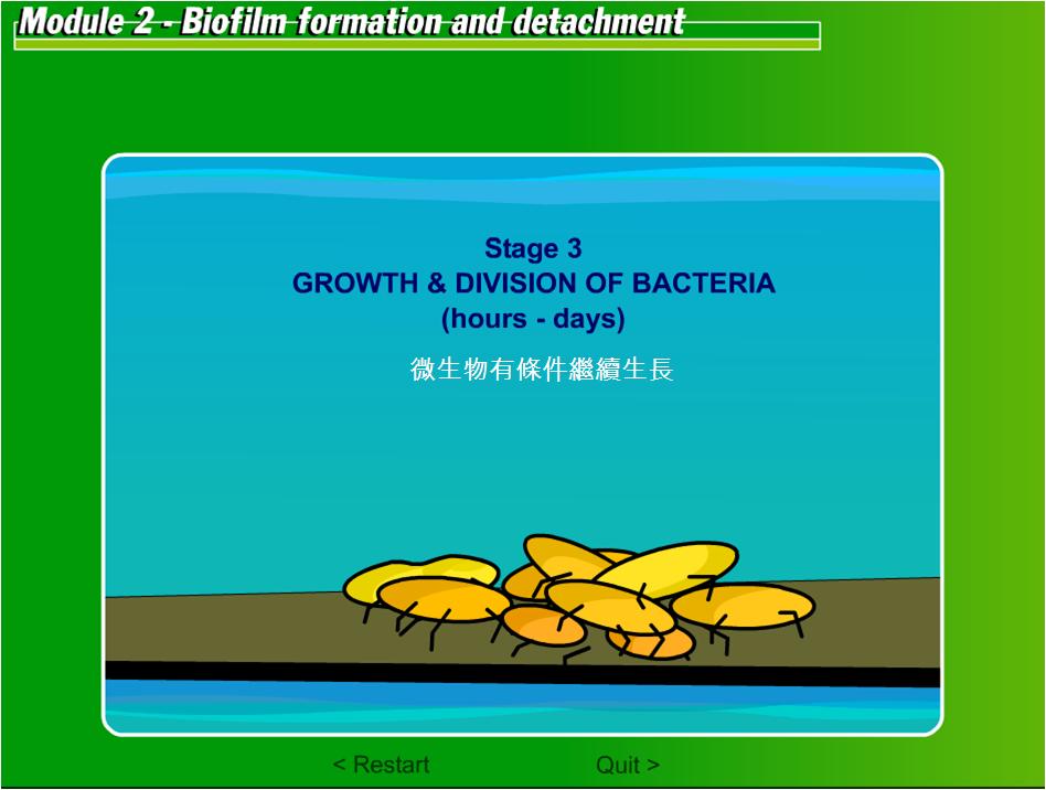 生物附著04.JPG