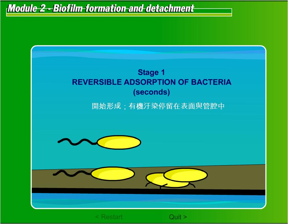 生物附著02.JPG