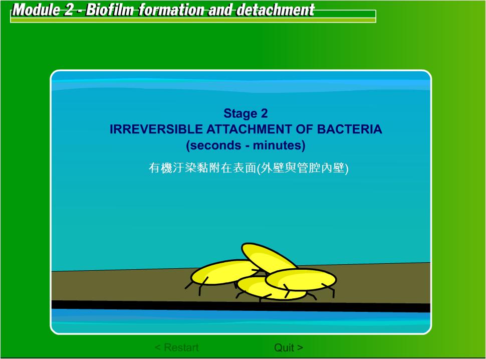 生物附著03.JPG