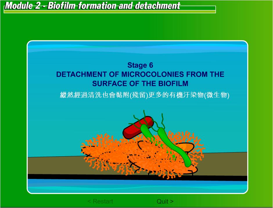 生物附著07.JPG