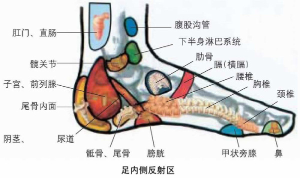 脚图4.jpg