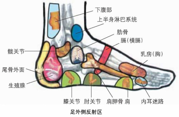 脚图1.jpg