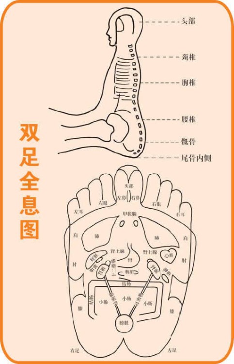 脚图6.jpg