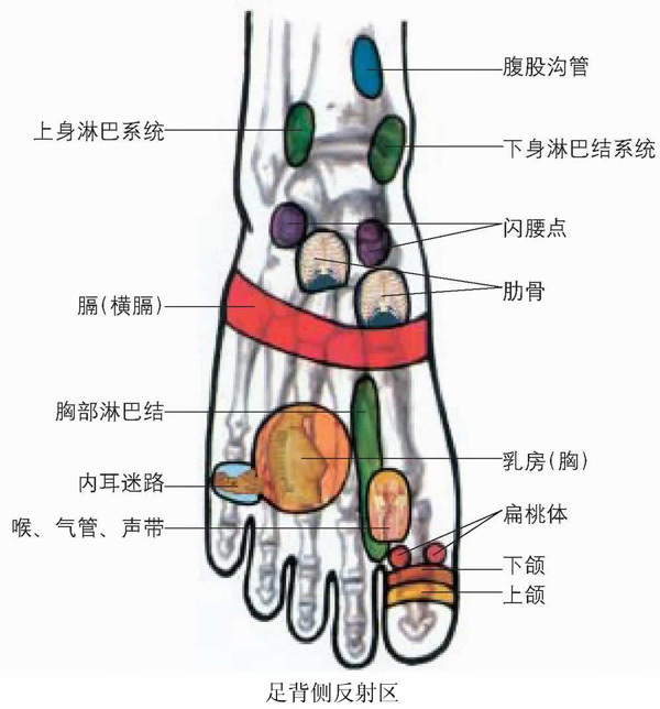 脚图5.jpg