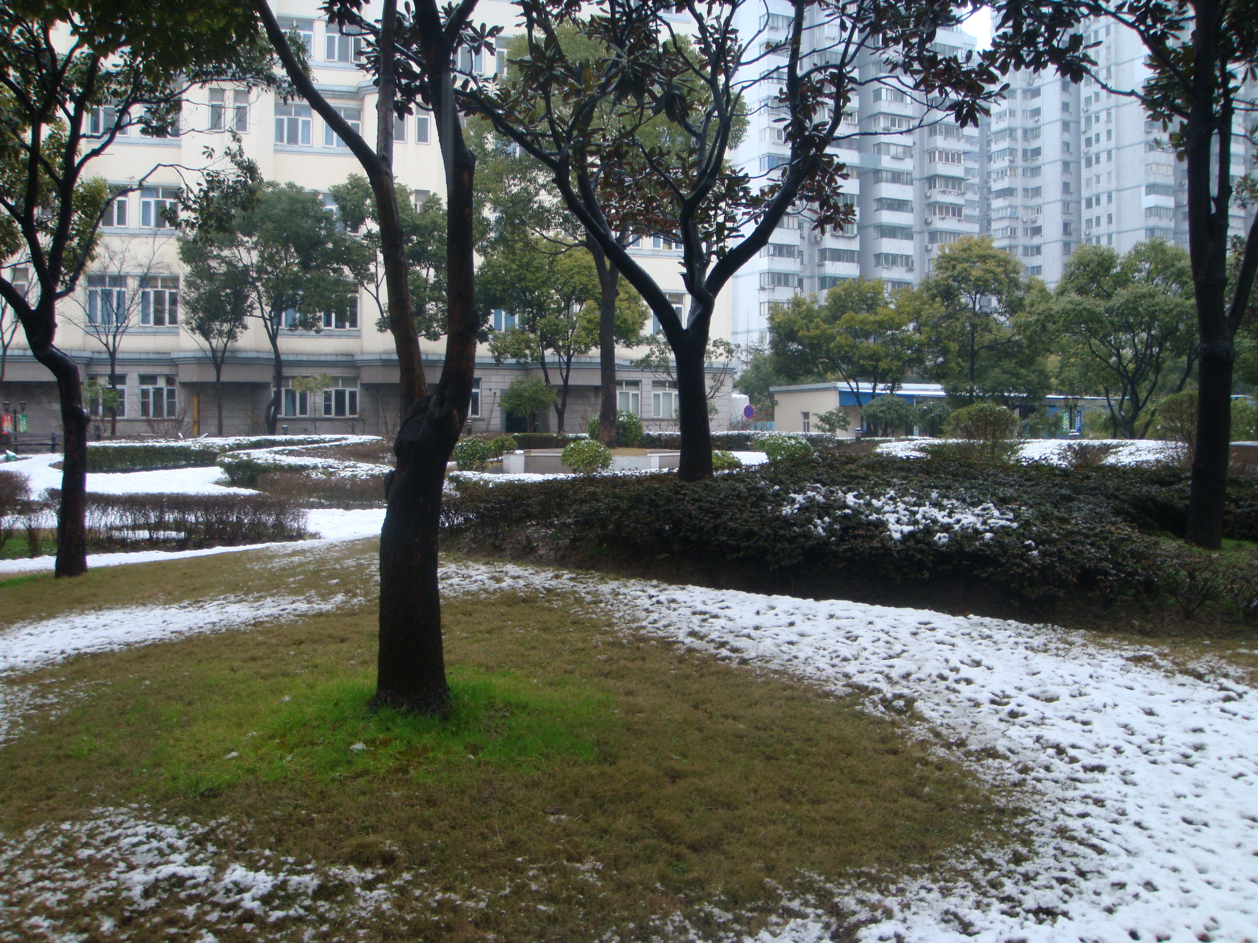 残雪2.jpg