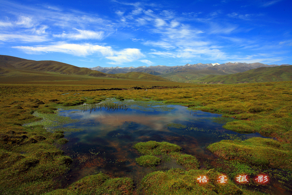 拉鸡山下黄河湿地.jpg