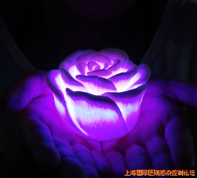 db78ca1ce93dfb4b304e159d.jpg
