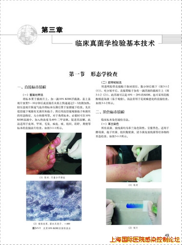 《实用医学微生物学检验与图谱》样张3.jpg