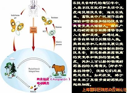 抗菌药物 人 动植物与细菌.jpg