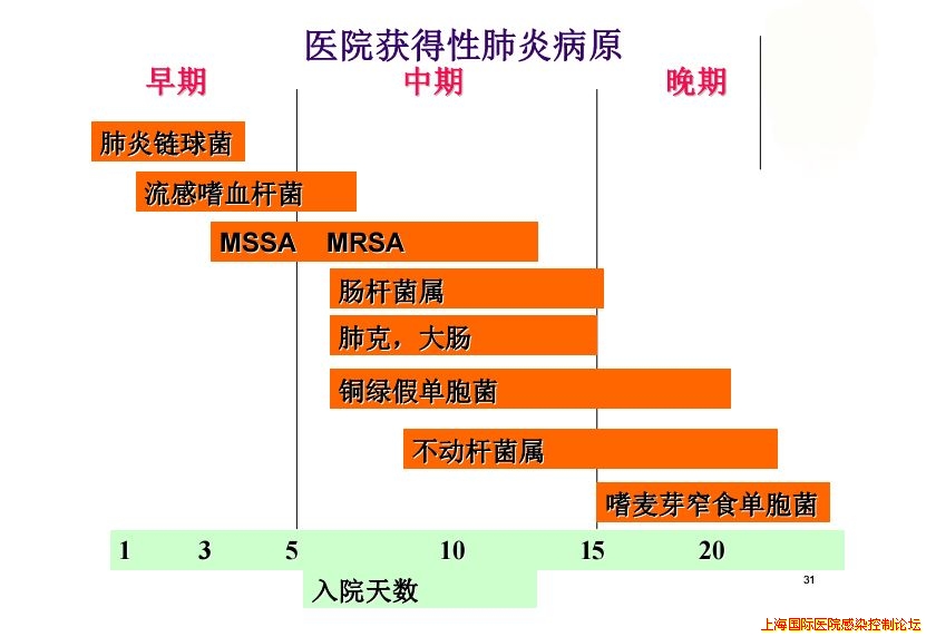 医院获得性肺炎的病原.jpg