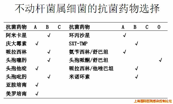 不动杆菌药敏.jpg