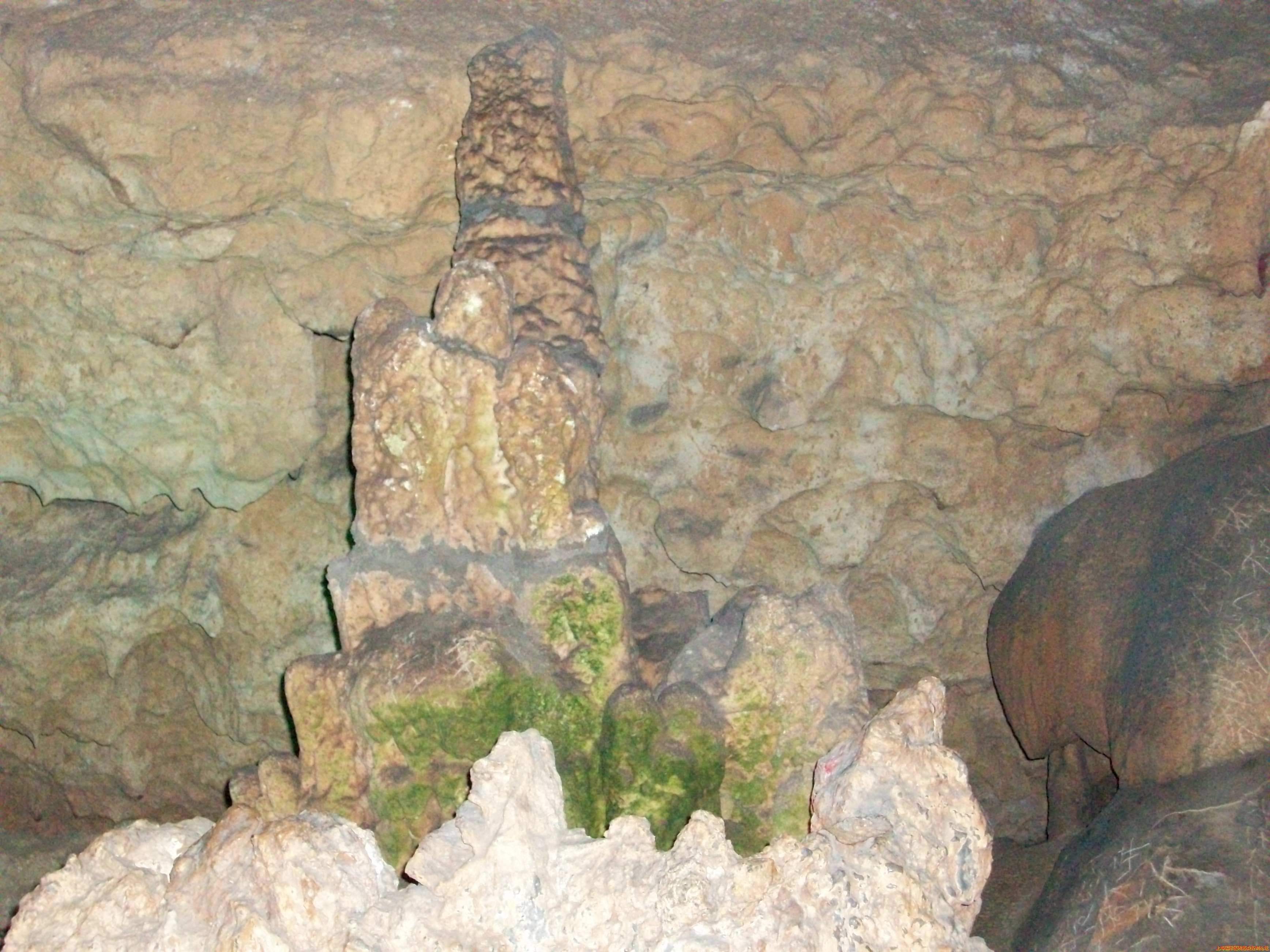 100_3299.JPG