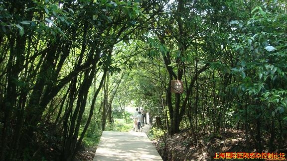 黄水2.jpg
