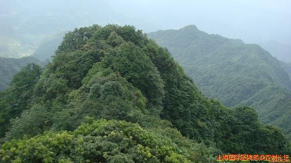 黄水4.jpg
