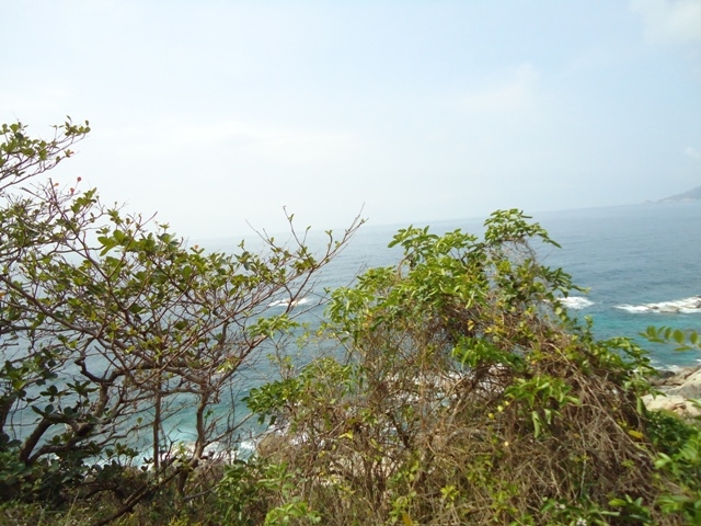 DSC03292.JPG