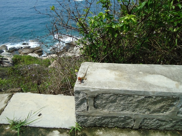 DSC03294.JPG