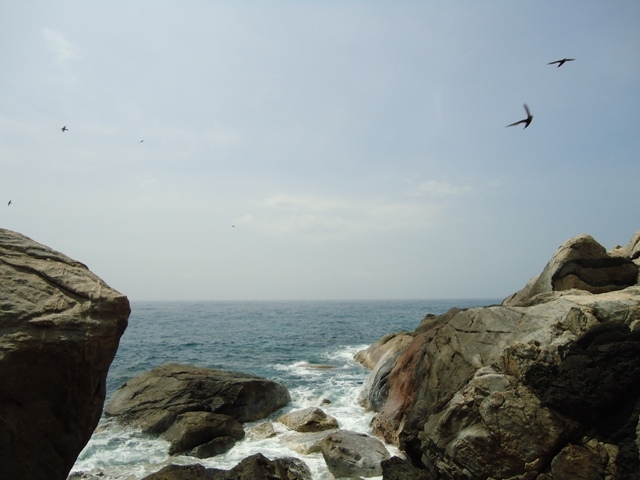 DSC03305.JPG