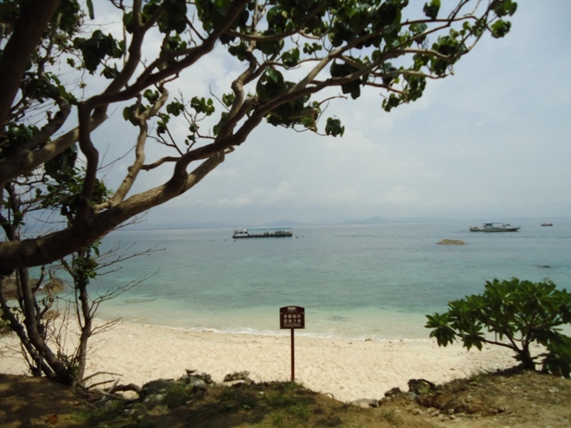 DSC03309.JPG
