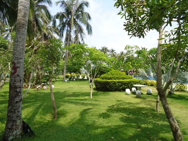 DSC03314.JPG