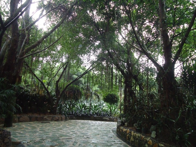 DSC03211.JPG