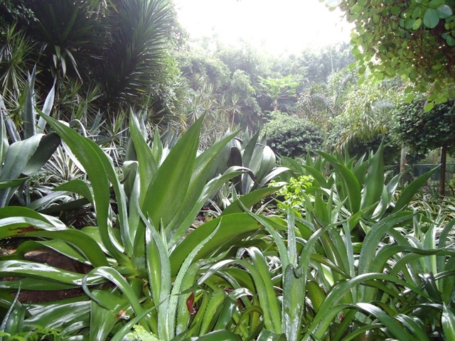 DSC03213.JPG