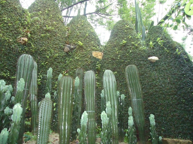 DSC03235.JPG
