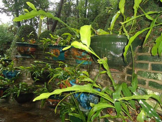 DSC03261.JPG