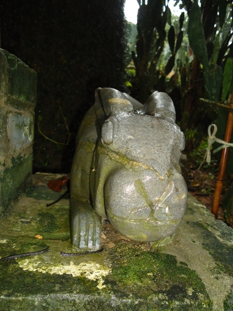 DSC03218.JPG