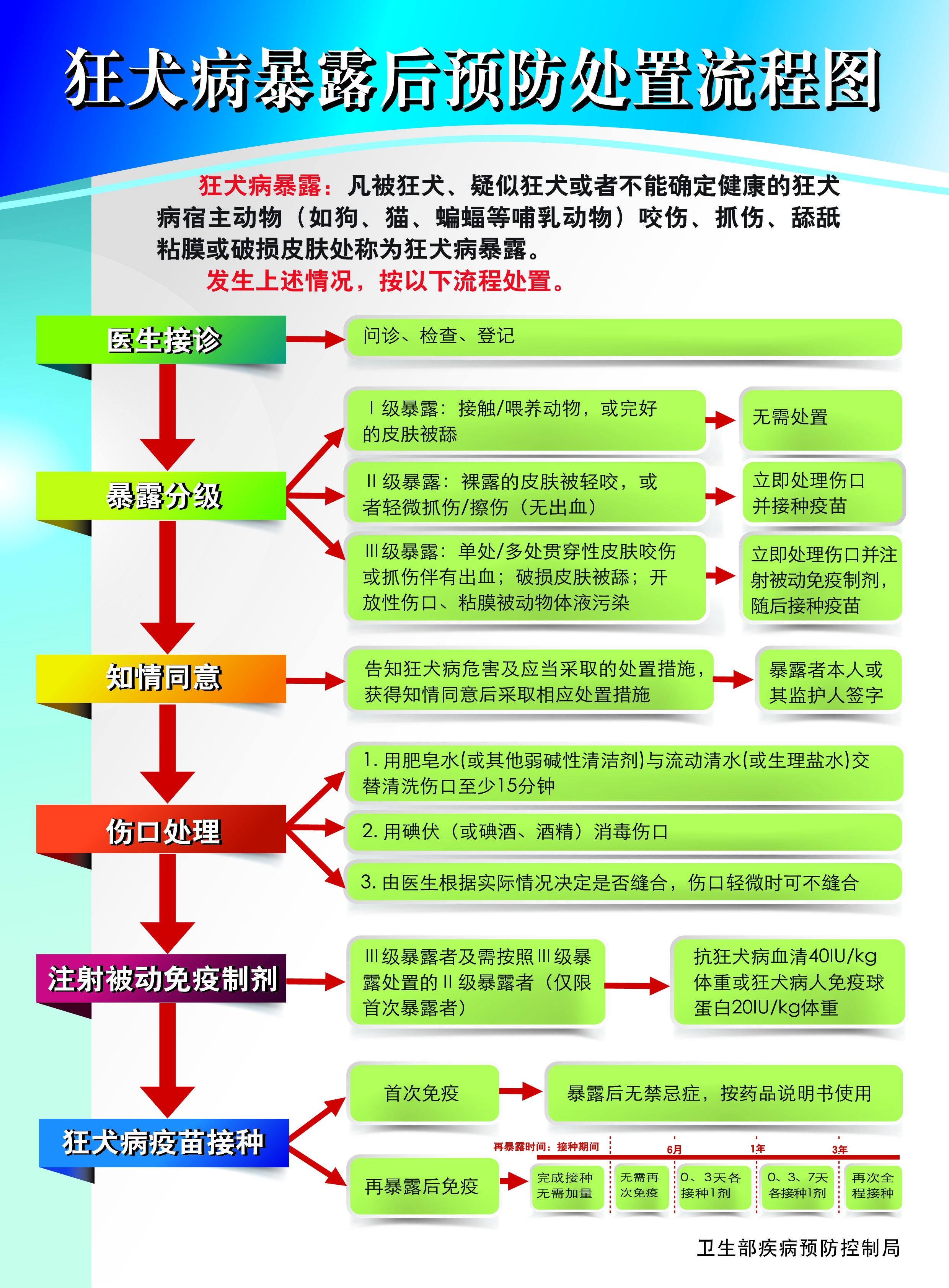 狂犬病暴露后预防处置流程图.jpg