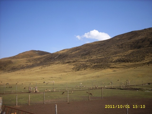 SPA50160.JPG