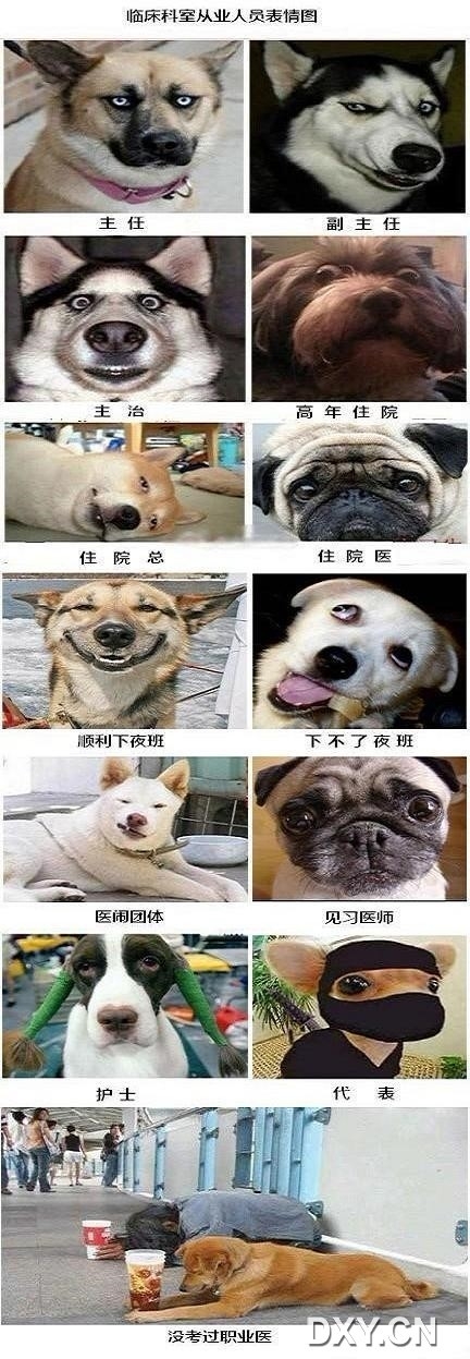 37854481_snap.jpg