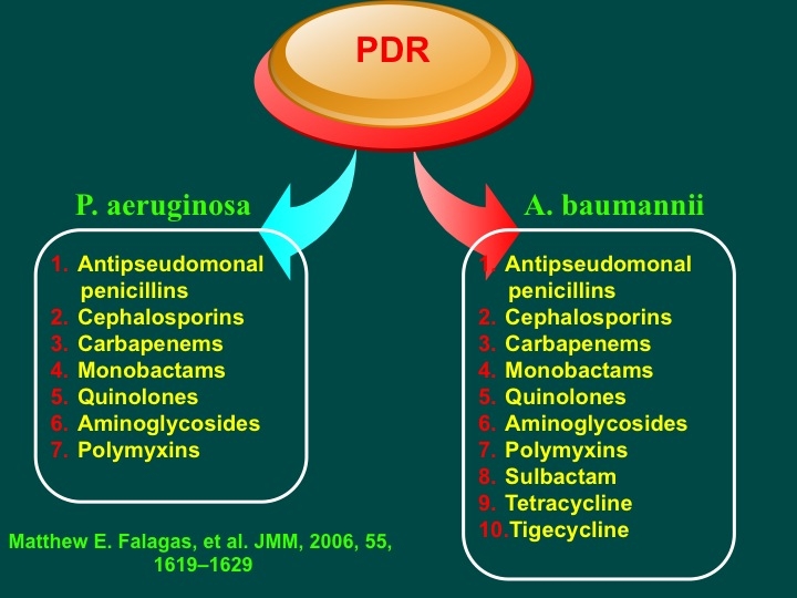 Slide13.jpg