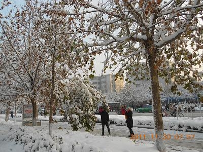 2011冬雪照片 001_副本.jpg