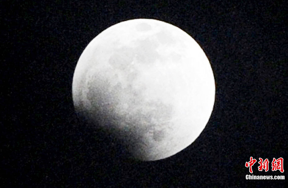 3151351_980x1200_0.jpg