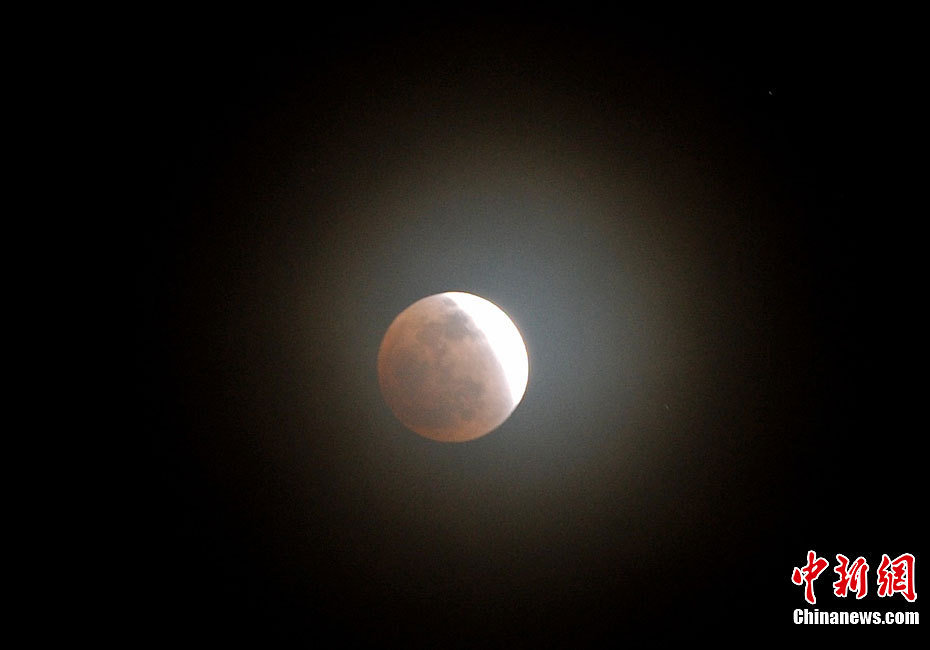 3151416_980x1200_0.jpg