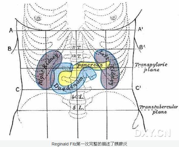 胰腺炎.jpg