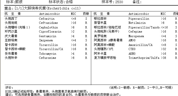 细菌报告单.jpg