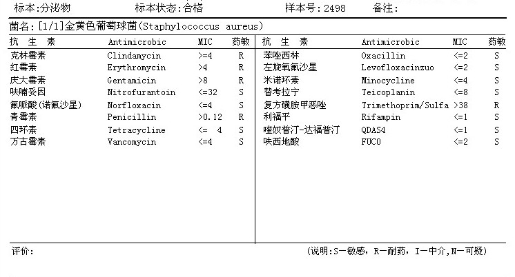 细菌培养结果.jpg