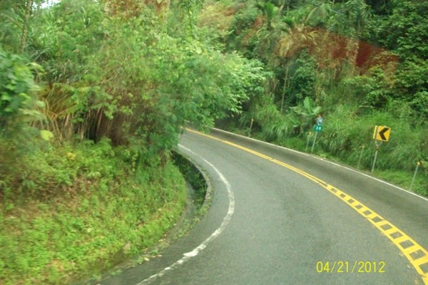 阿里山的盘山公路.jpg