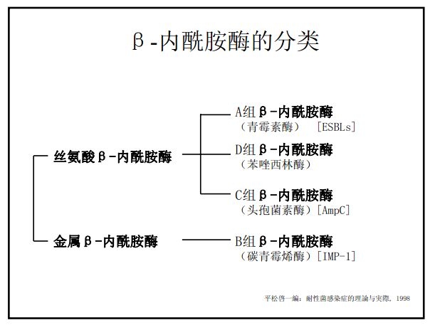 β-内酰胺酶的分离.jpg